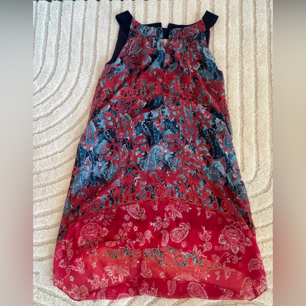 Red and Blue Paisley Dress